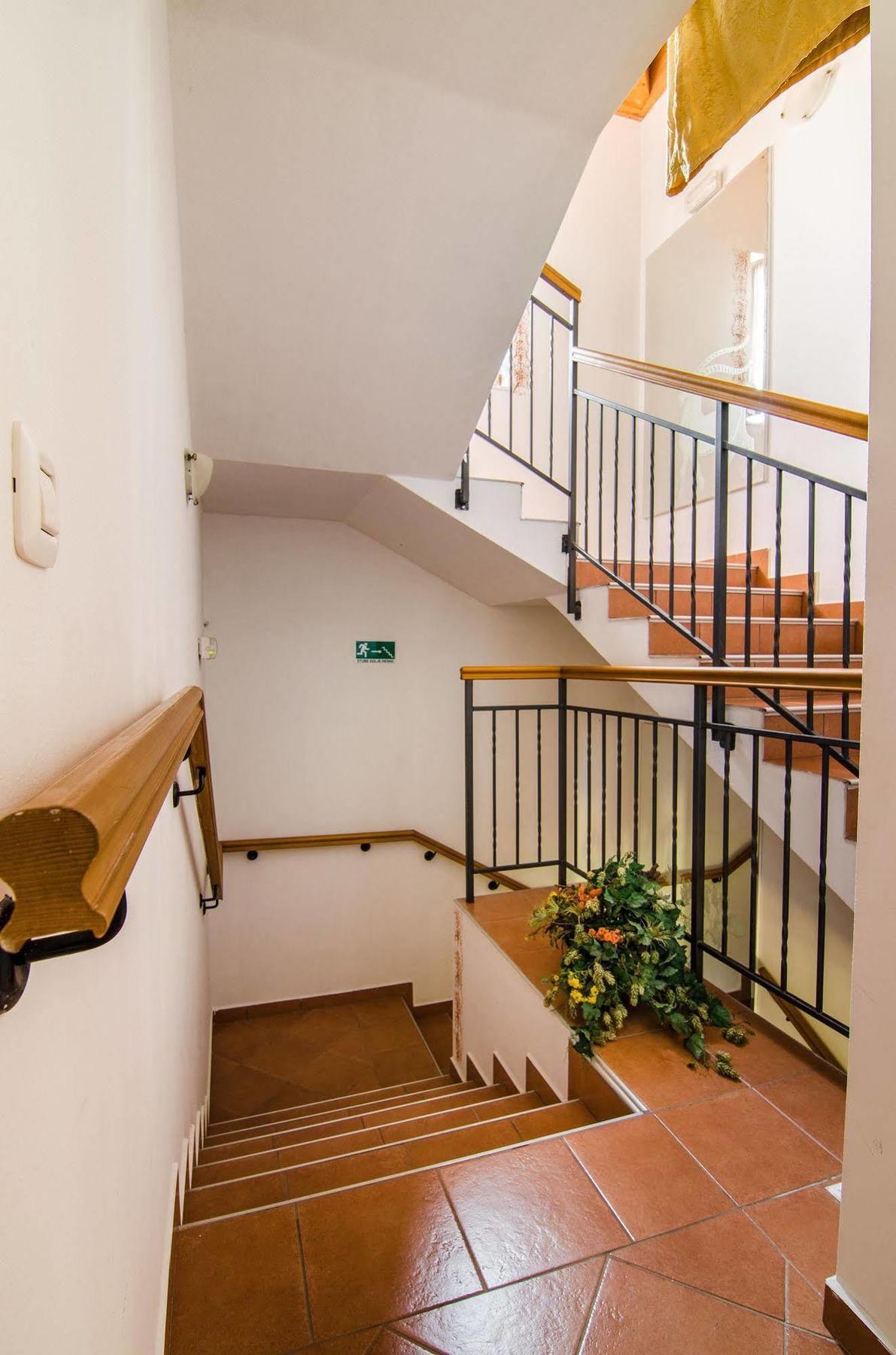Villa Calussovo Ripenda Kras エクステリア 写真